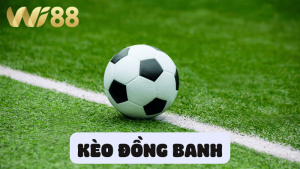 Tìm hiểu đôi nét về kèo đồng banh hiện nay